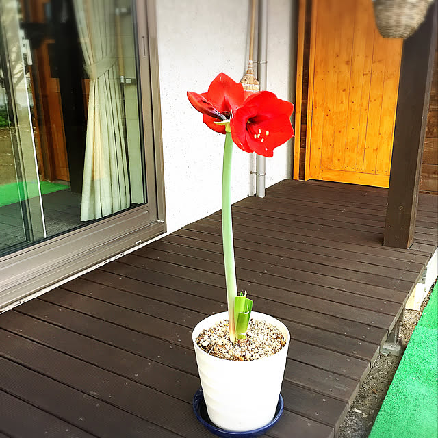 nanaさんの実例写真