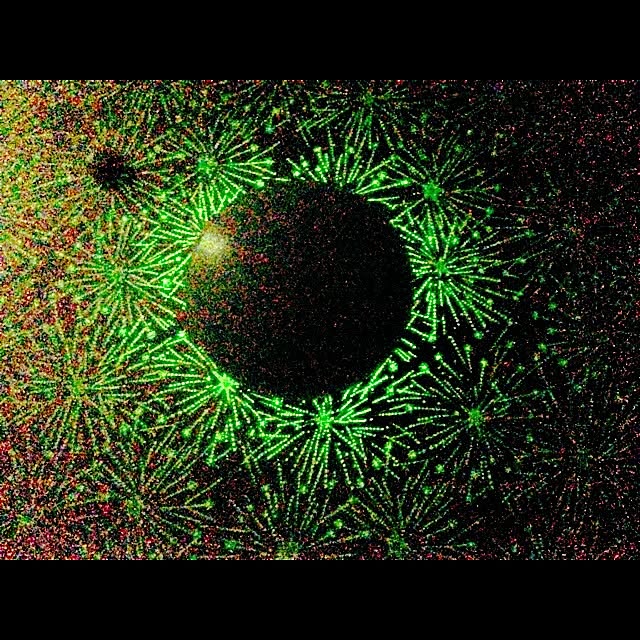 壁/天井のインテリア実例 - 2013-10-07 23:20:35