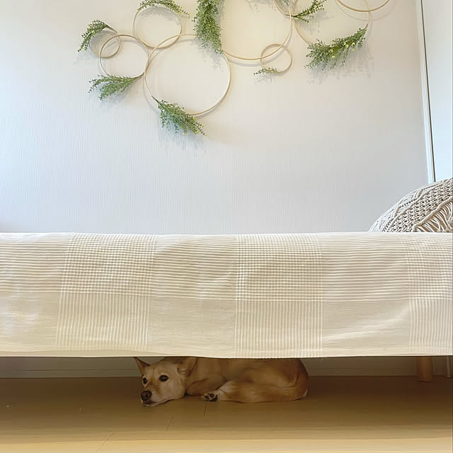 maruさんの実例写真