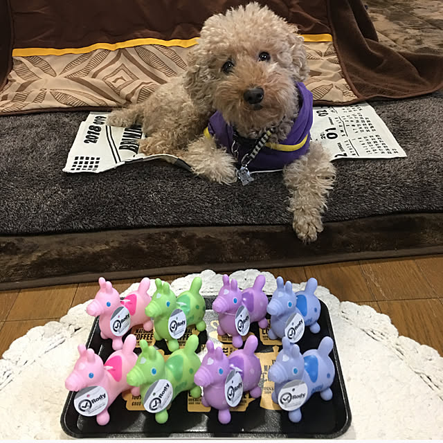 ronmaruさんの実例写真