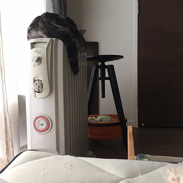 mikomaruさんの実例写真