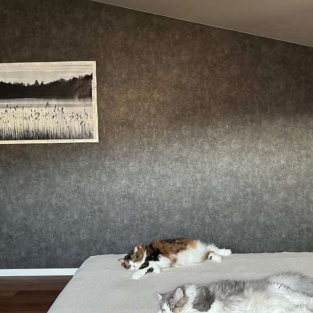 sakiさんの部屋