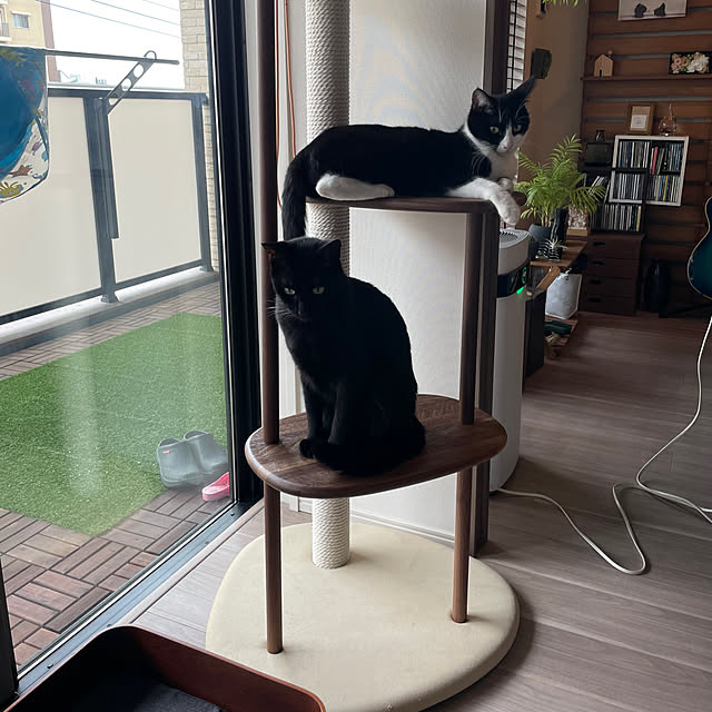 rinsg320さんの実例写真