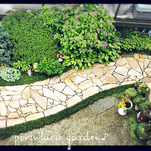 portulacaさんの実例写真