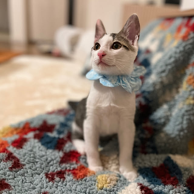 Akiさんの部屋
