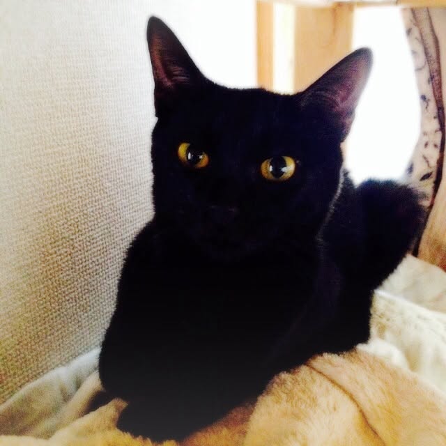 hilaさんの実例写真