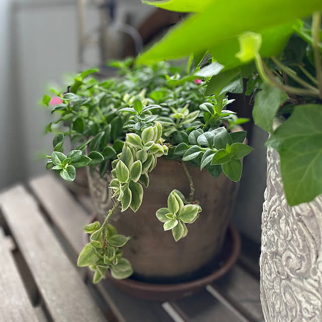 rinrinさんの部屋