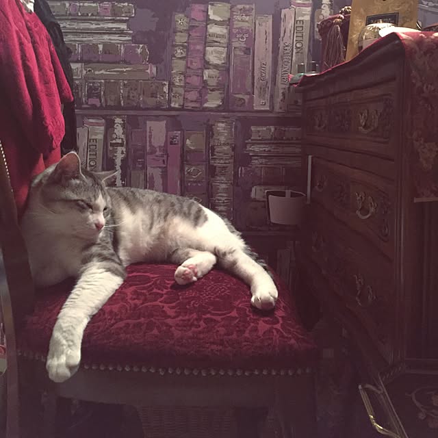 emmyyさんの実例写真