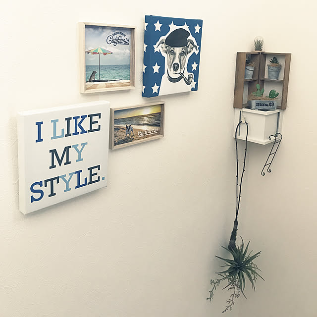 ikt.tamaさんの実例写真