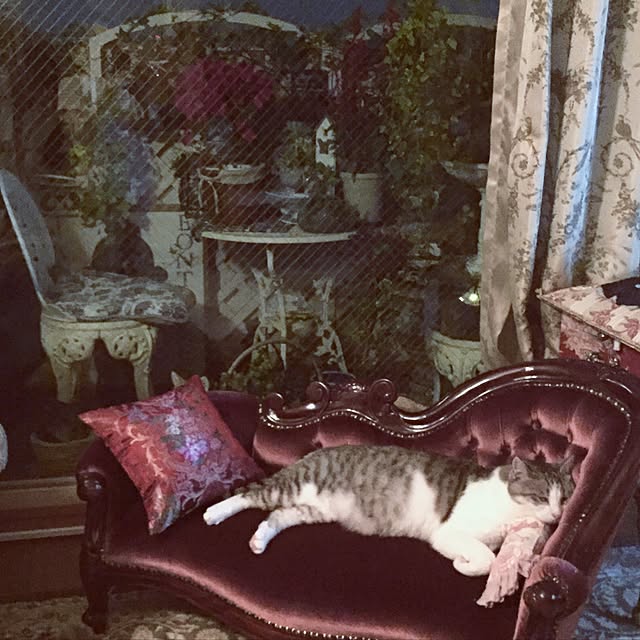 emmyyさんの実例写真