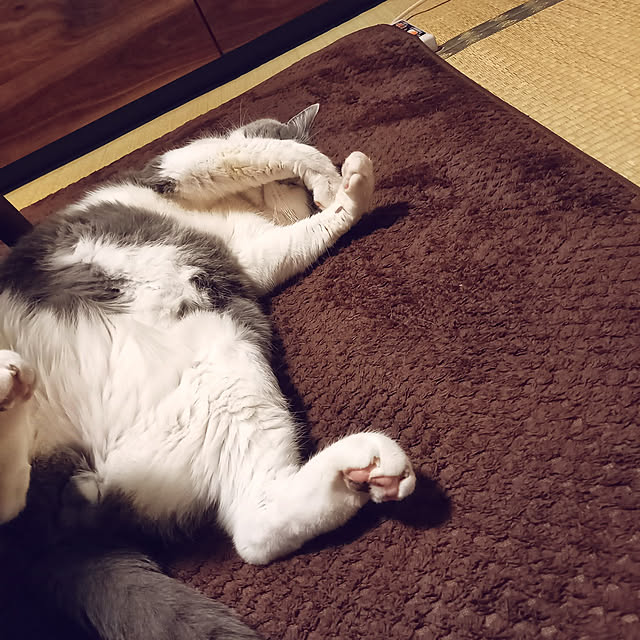 rhuさんの実例写真