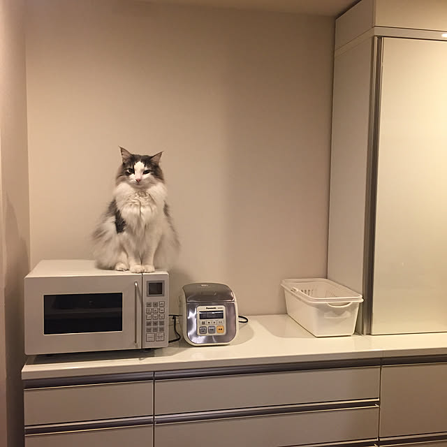 mofさんの実例写真