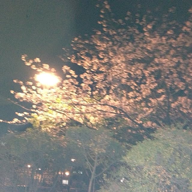 Shimomiyさんの実例写真