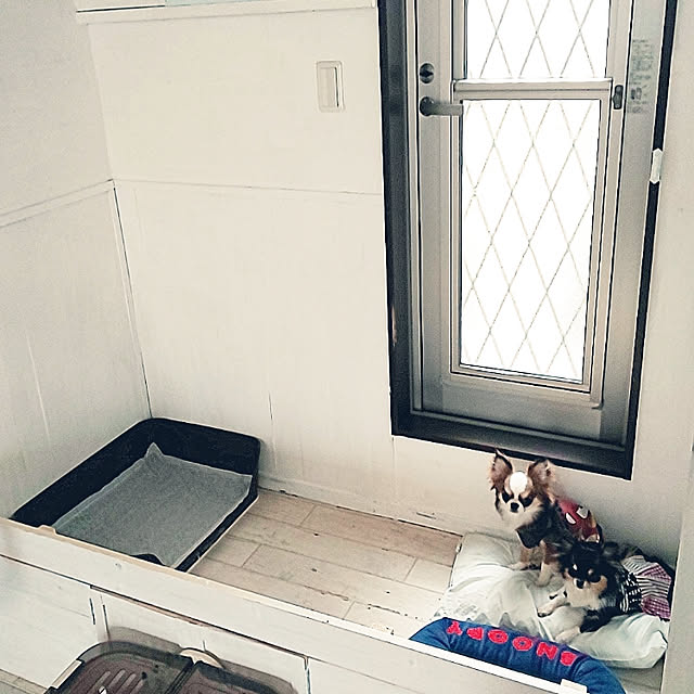 M_house_officialさんの実例写真
