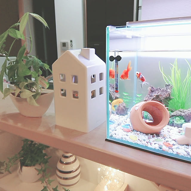 yumegu8さんの実例写真