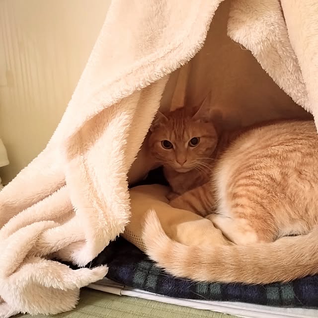 mayutan.さんの部屋