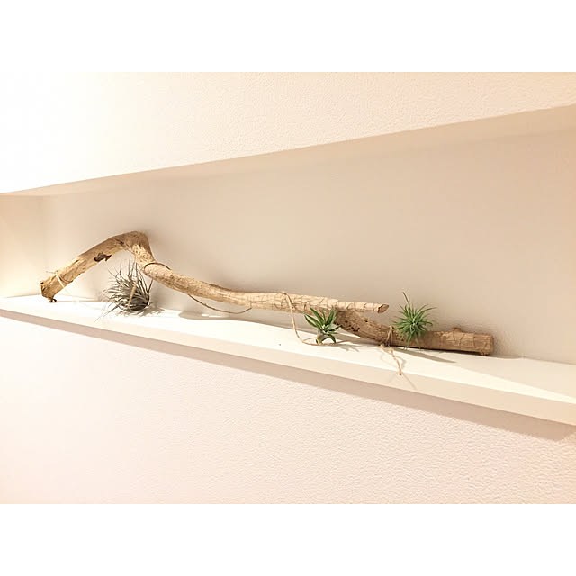 haruさんの実例写真