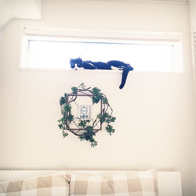 lovecatさんの実例写真