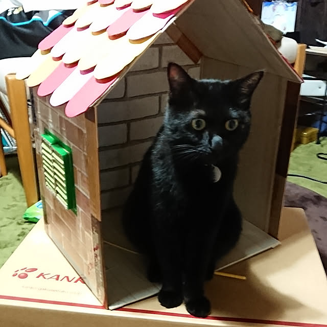 部屋全体/プレゼントに応募のインテリア実例 - 2019-06-29 14:25:46