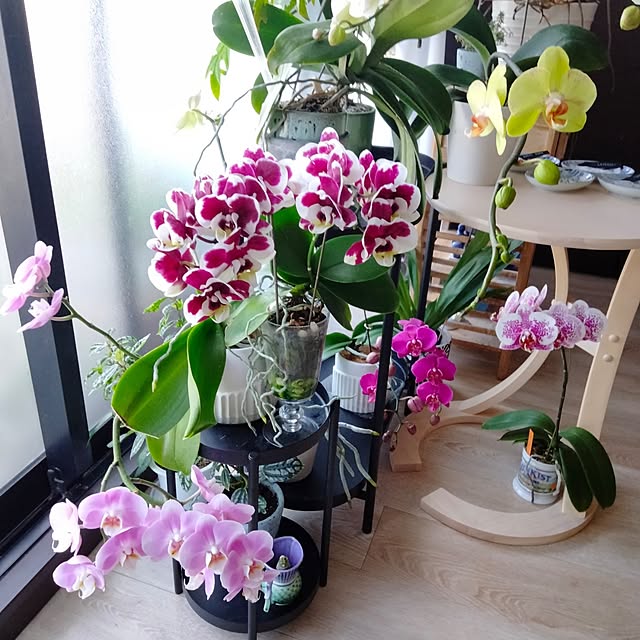 reko639さんの部屋