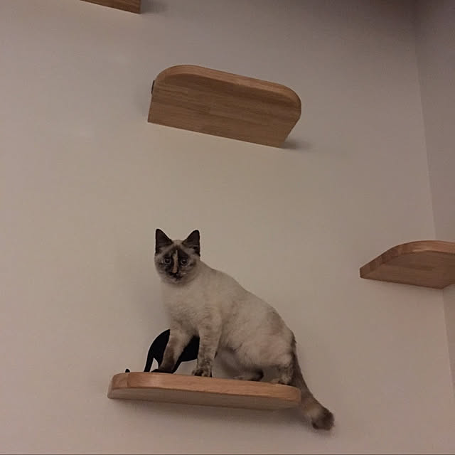 Moricさんの実例写真