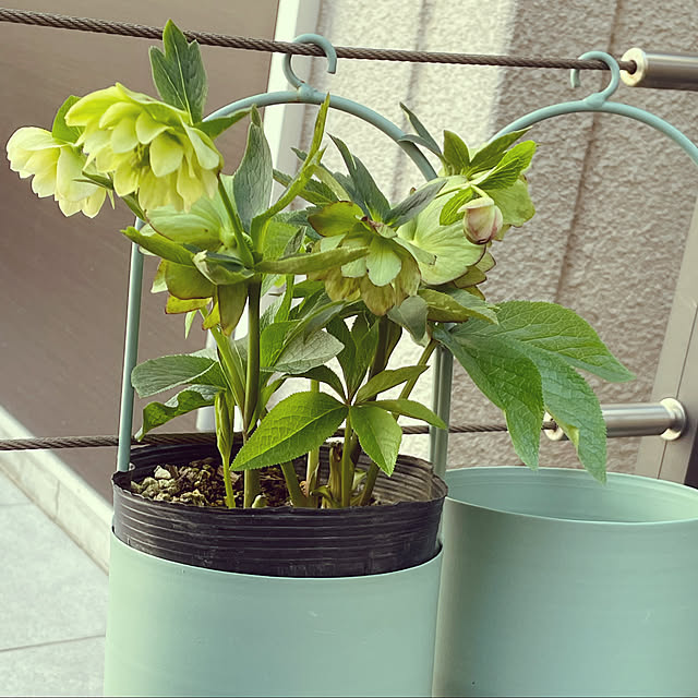 nahonさんの実例写真