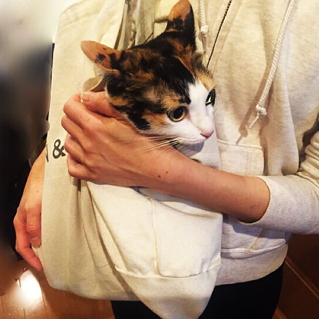 mayugonさんの実例写真