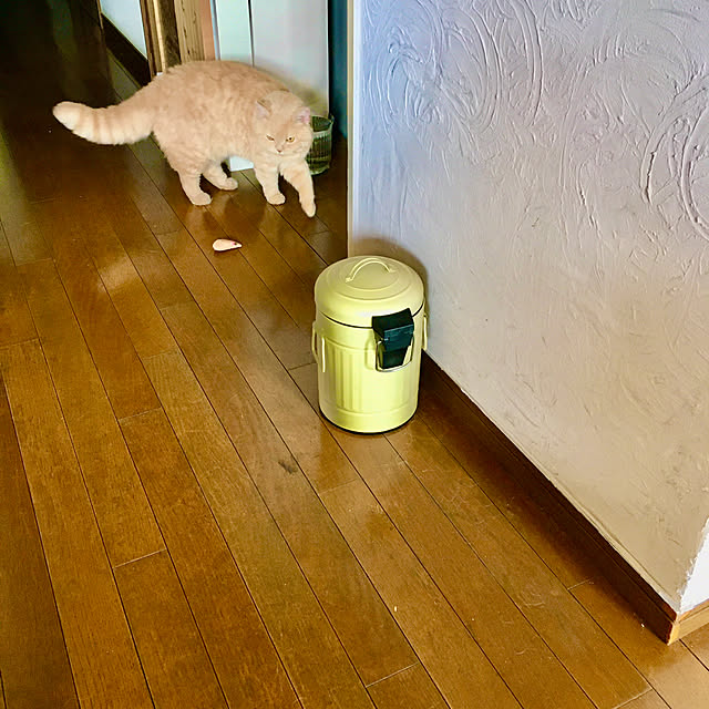naokoさんの実例写真