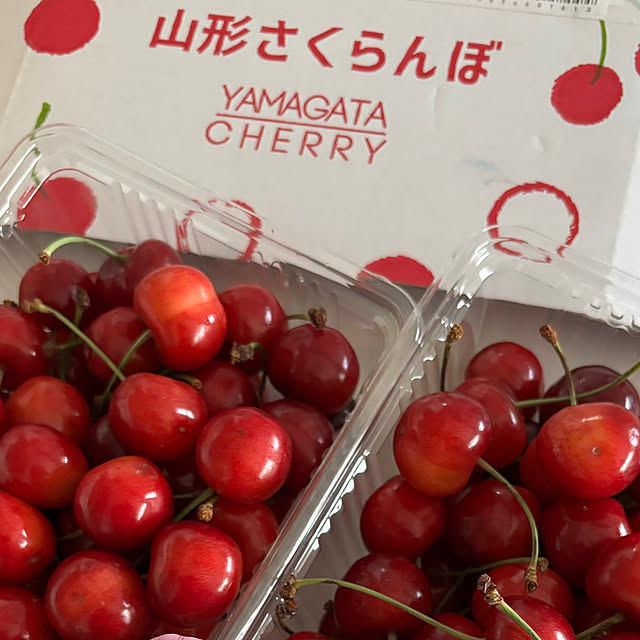 syutmmさんの部屋