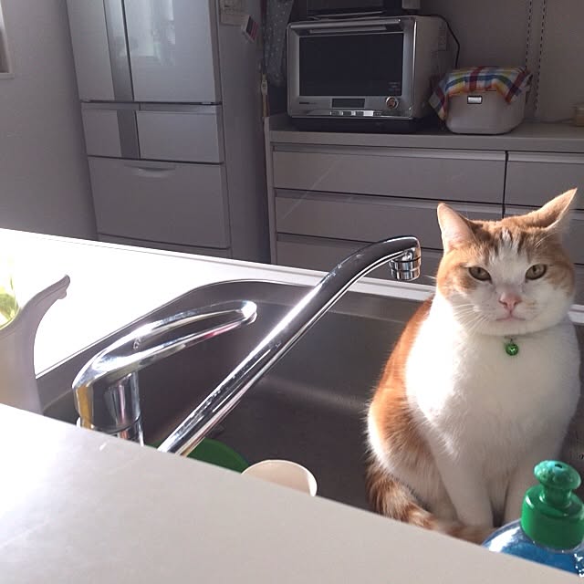 Michikoさんの実例写真