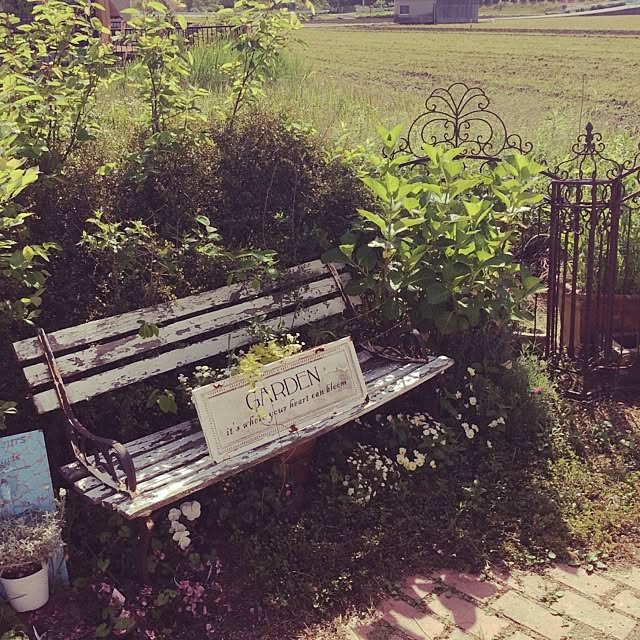 Conteさんの実例写真