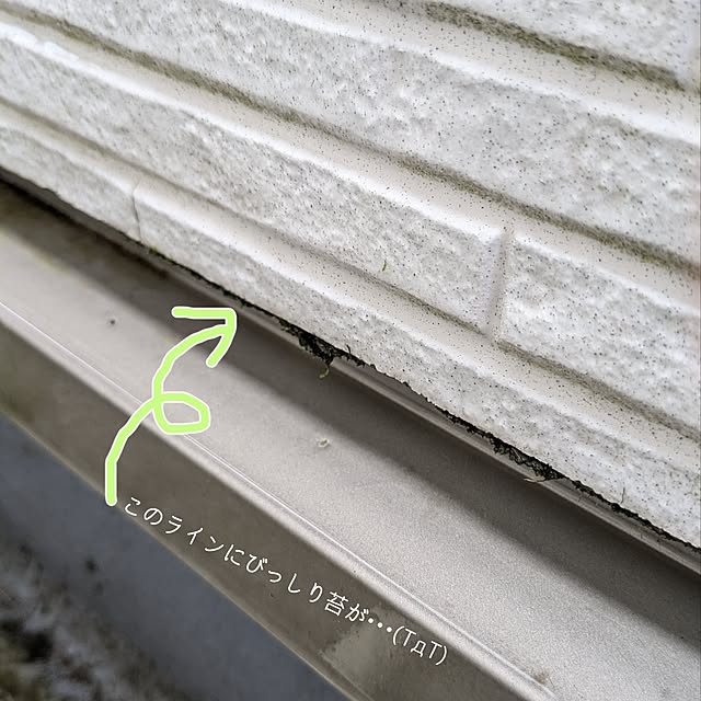 mofukoさんの部屋