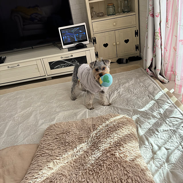 marikoさんの部屋