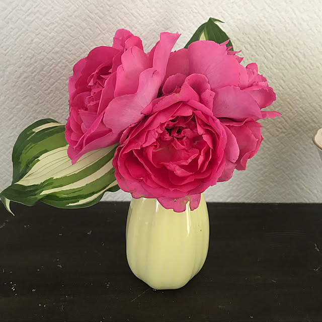 NATSUIROさんの実例写真
