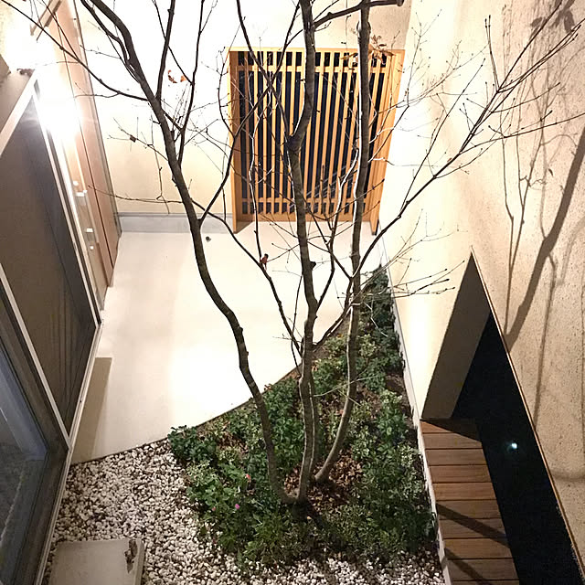 misaeeeさんの実例写真