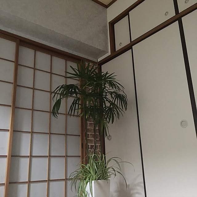 nanaさんの実例写真