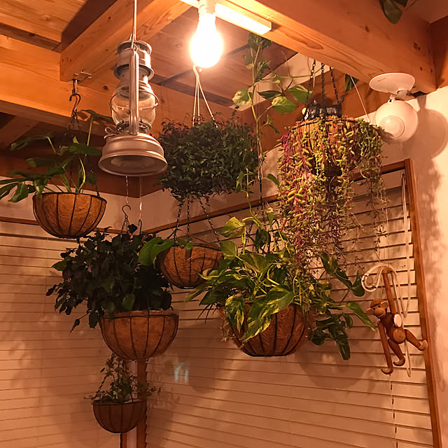 sakurasakuさんの実例写真