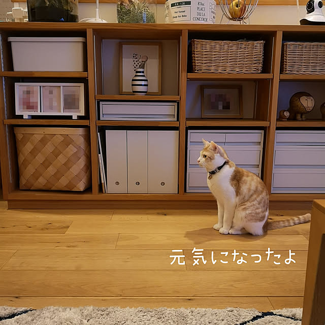 koyurizuさんの実例写真