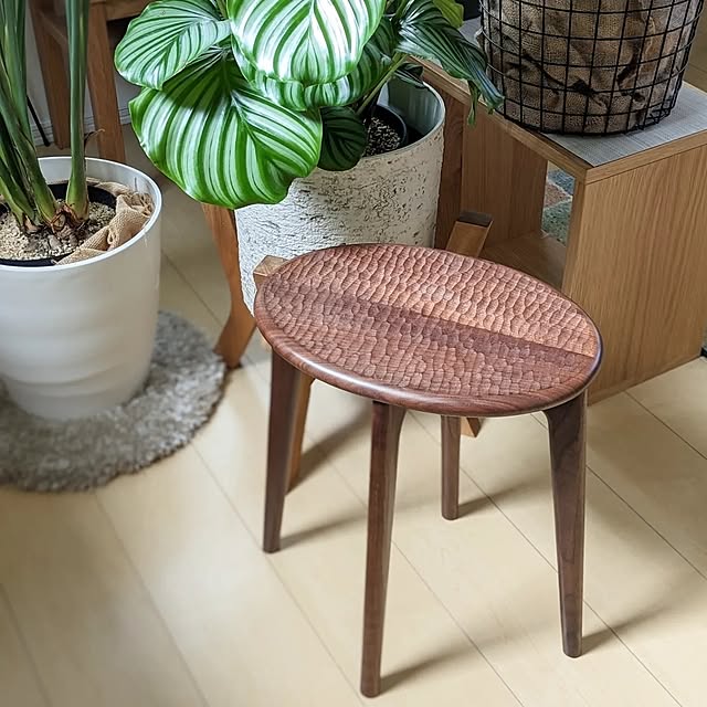 ayamameさんの部屋
