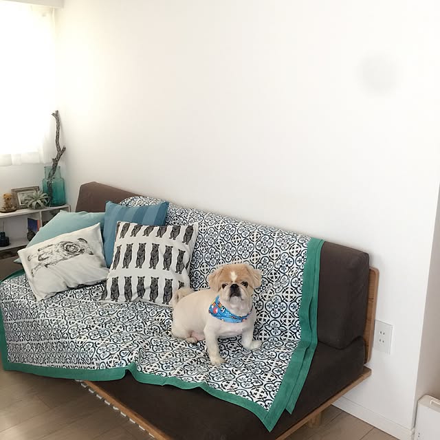 bubuさんの実例写真