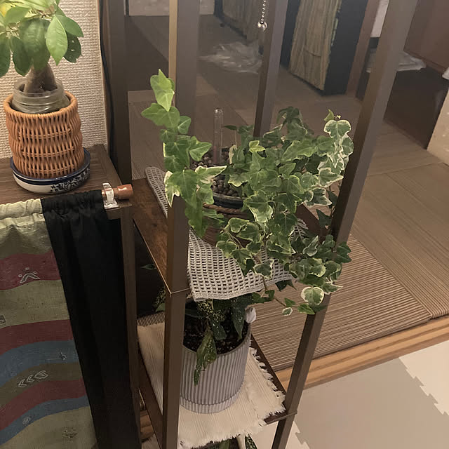 kkさんの実例写真