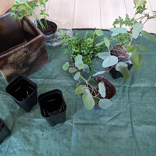 mi-saさんの部屋