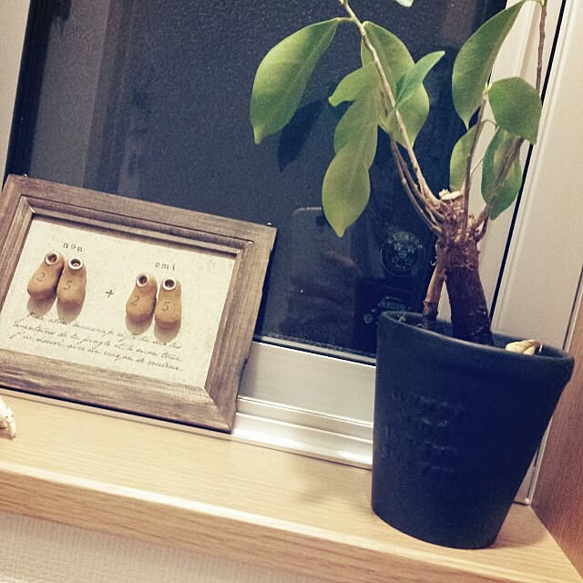 tapiさんの実例写真