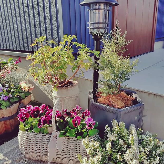 Motoziさんの部屋