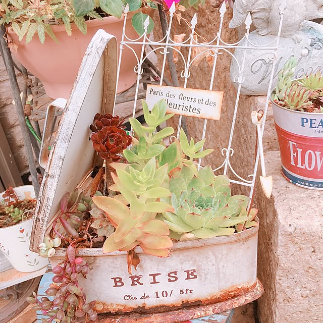 mauさんの実例写真