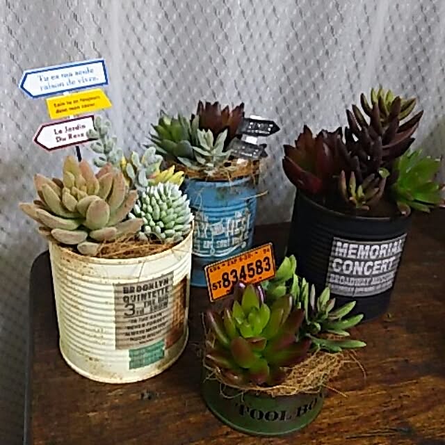INDOORさんの実例写真