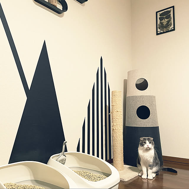 tansukeさんの実例写真