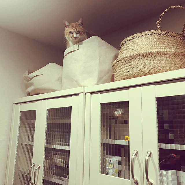 Shihobooさんの実例写真