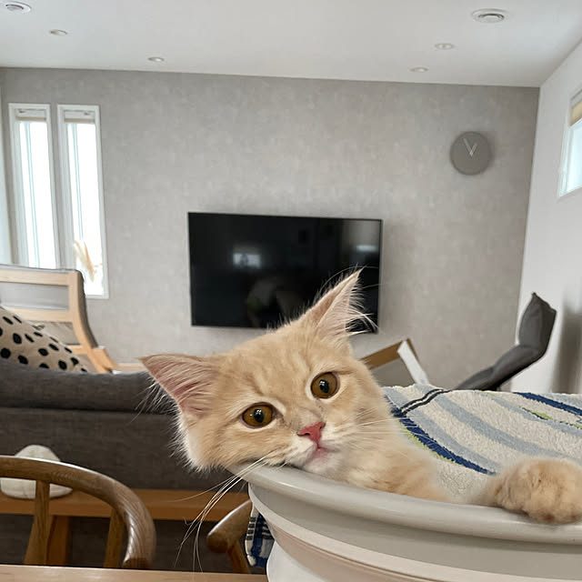 kさんの実例写真