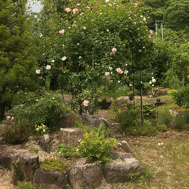 実例写真